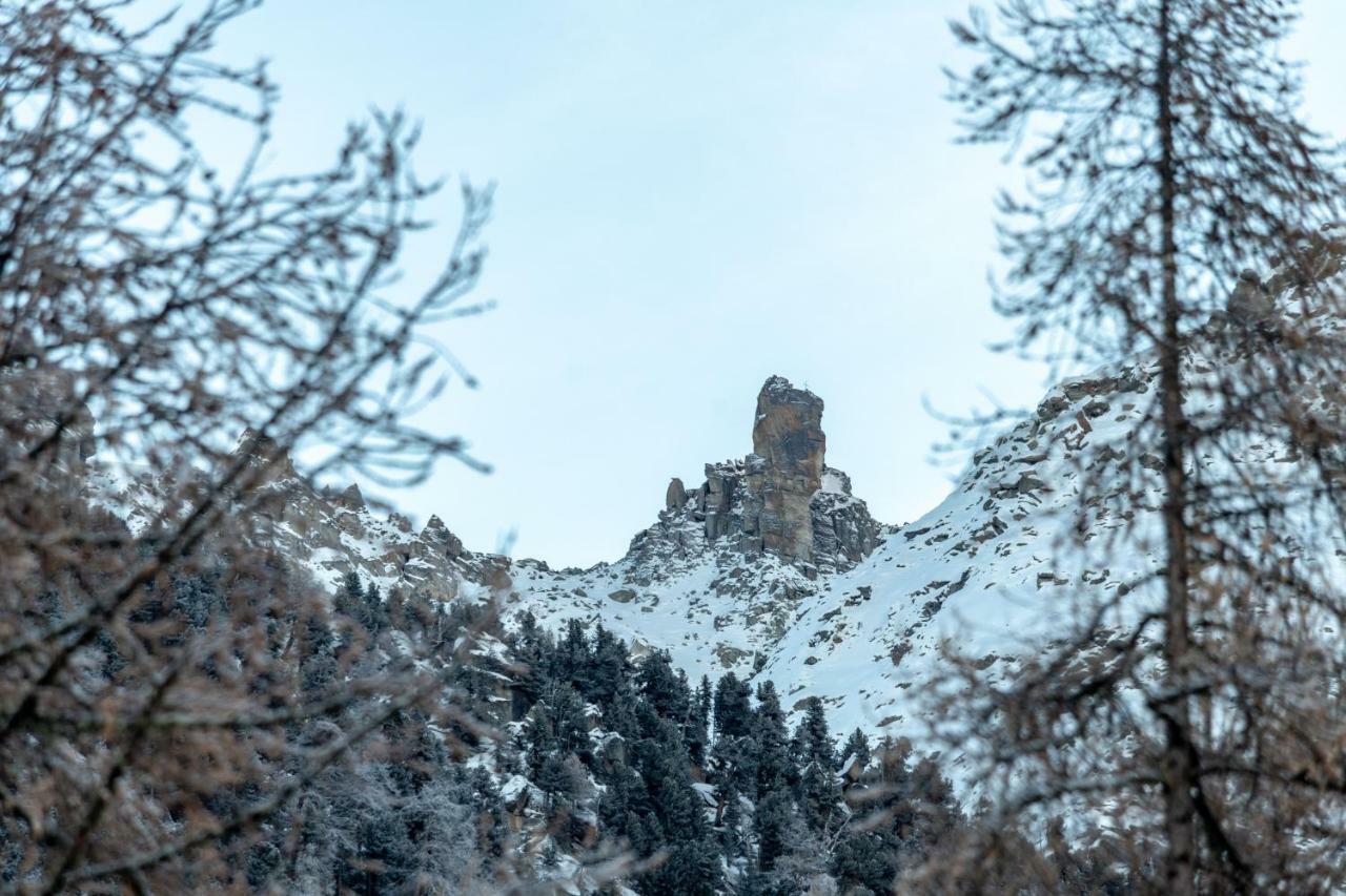 Maisonette Gentiana "Ein Nest Fur 2" Grächen Buitenkant foto